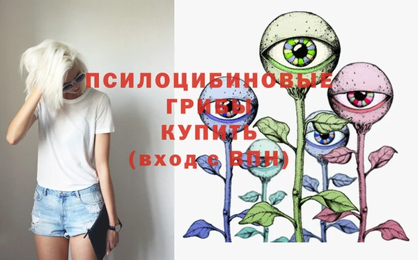 спайс Алексин