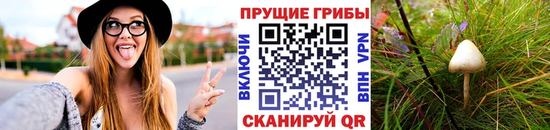 наркотики  Томмот  Галлюциногенные грибы Cubensis 